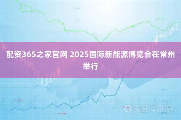 配资365之家官网 2025国际新能源博览会在常州举行